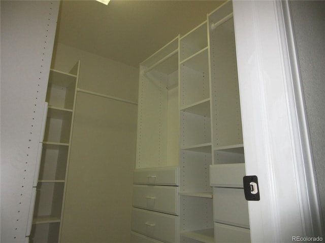 518 Zircon Way, Superior, CO 80027 - view of spacious closet