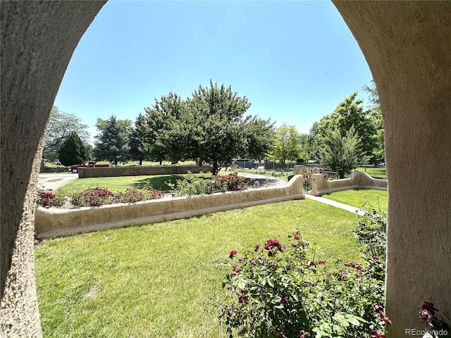311 Park Dr, Pueblo, CO 81005 - photo 31