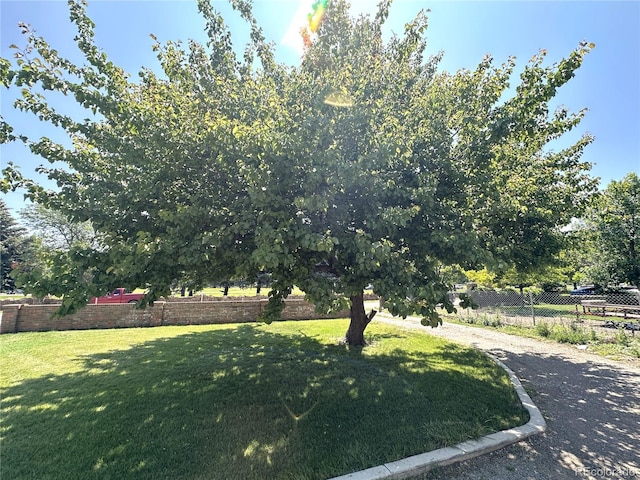 311 Park Dr, Pueblo, CO 81005 - photo 33
