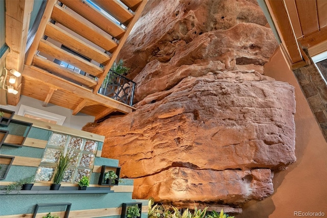 6619 Apache Pl, Larkspur, CO 80118 - detailed view of beamed ceiling
