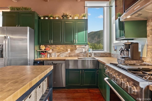 6619 Apache Pl, Larkspur, CO 80118 - kitchen featuring green cabinets, stainless steel appliances, under cabinet range hood, and a sink