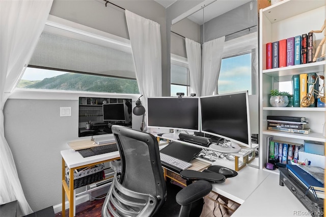 6619 Apache Pl, Larkspur, CO 80118 - view of office area