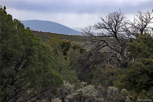 LOT60 Horseshoe Trl, San Luis, CO 81152