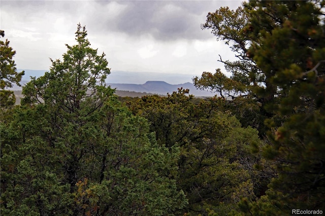 LOT60 Horseshoe Trl, San Luis, CO 81152