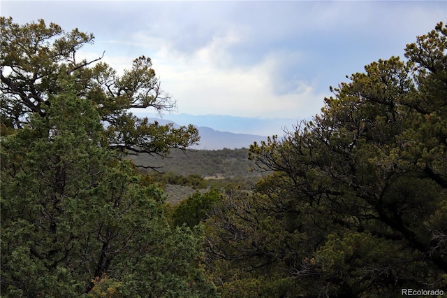 LOT60 Horseshoe Trl, San Luis, CO 81152