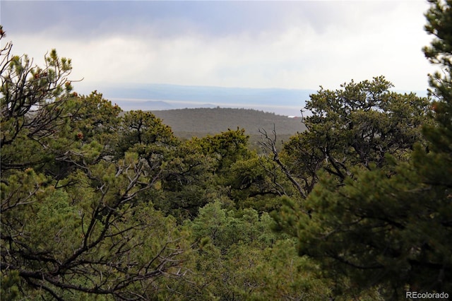 LOT60 Horseshoe Trl, San Luis, CO 81152