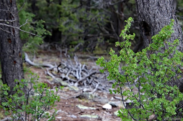 LOT60 Horseshoe Trl, San Luis, CO 81152