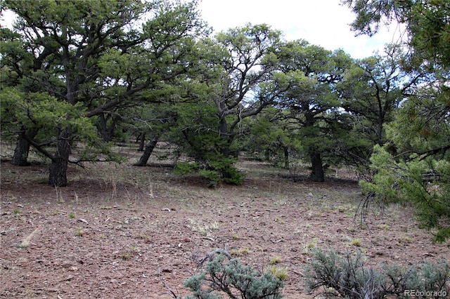 LOT60 Horseshoe Trl, San Luis, CO 81152