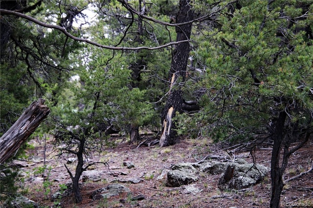 LOT60 Horseshoe Trl, San Luis, CO 81152