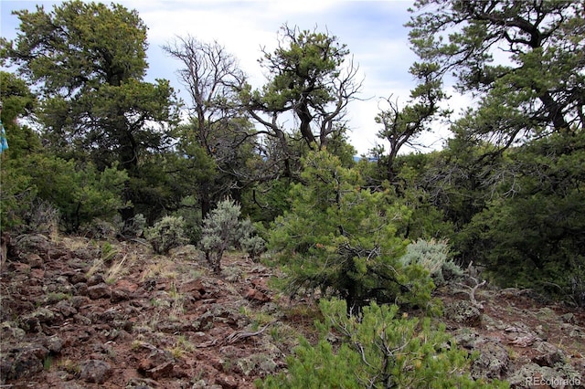 LOT60 Horseshoe Trl, San Luis, CO 81152