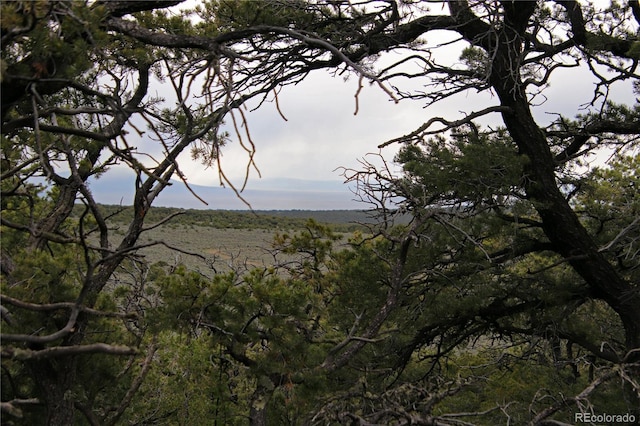 LOT60 Horseshoe Trl, San Luis, CO 81152