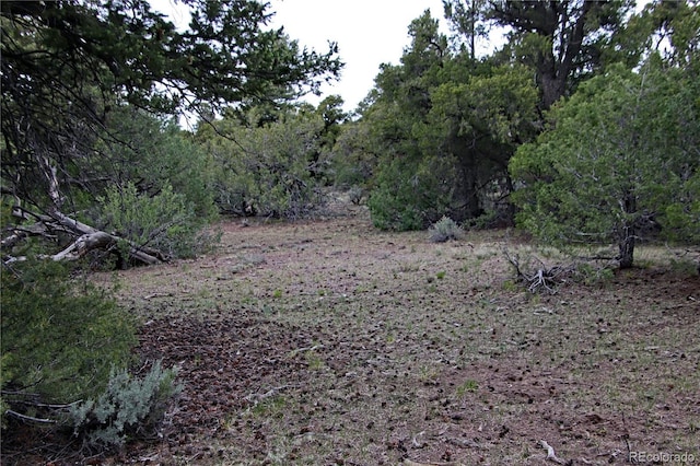LOT60 Horseshoe Trl, San Luis, CO 81152
