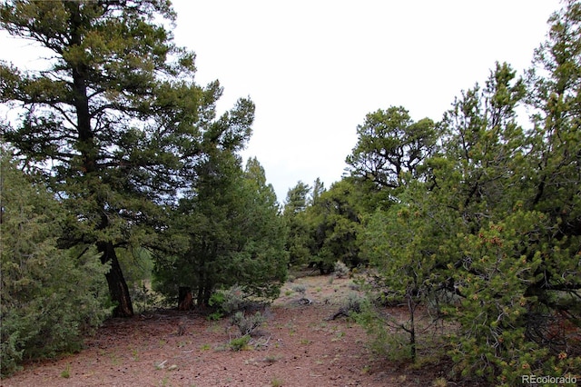 LOT60 Horseshoe Trl, San Luis, CO 81152