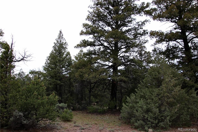 LOT60 Horseshoe Trl, San Luis, CO 81152