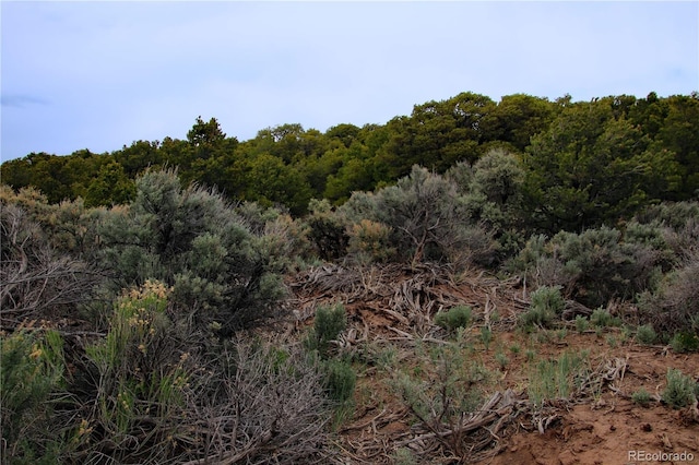 LOT60 Horseshoe Trl, San Luis, CO 81152
