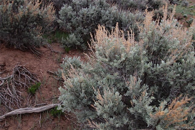 LOT60 Horseshoe Trl, San Luis, CO 81152