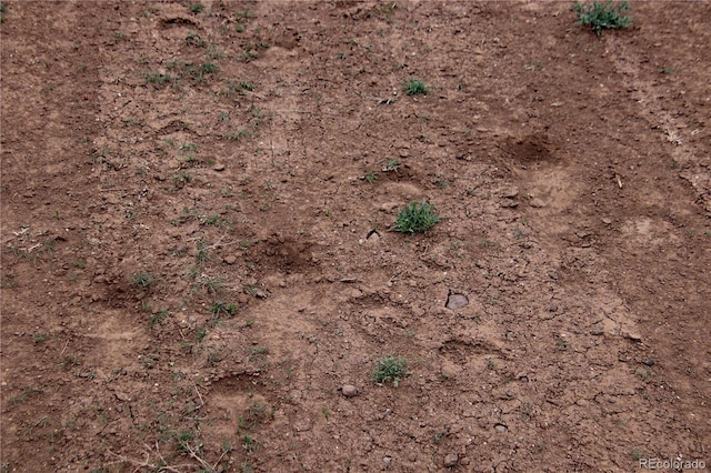 LOT60 Horseshoe Trl, San Luis, CO 81152
