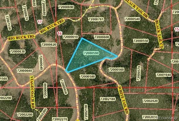 LOT60 Horseshoe Trl, San Luis, CO 81152