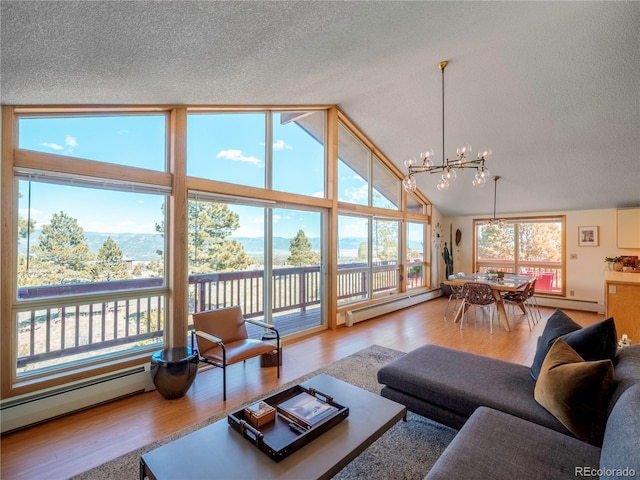 30455 Mountainside Dr, Buena Vista, CO 81211 - living area with baseboard heating, a chandelier, a textured ceiling, wood finished floors, and lofted ceiling