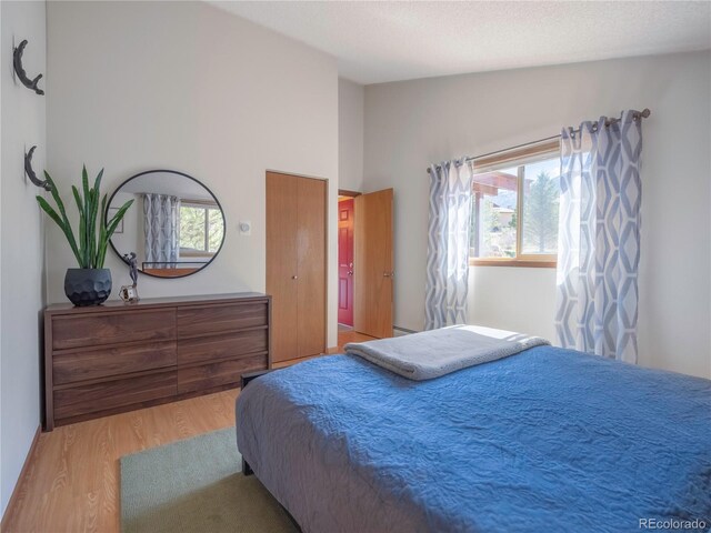 30455 Mountainside Dr, Buena Vista, CO 81211 - bedroom with wood finished floors, multiple windows, and lofted ceiling