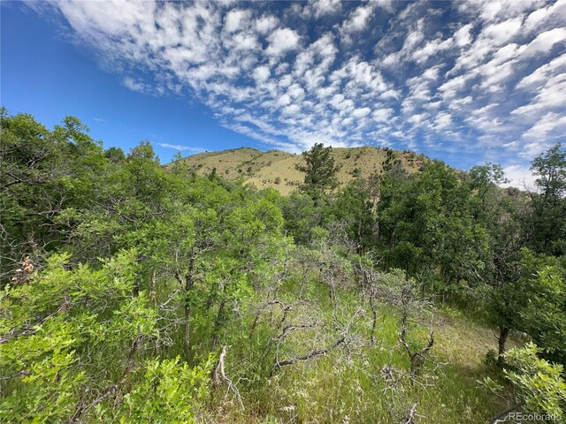 110 Crystal Park Rd, Manitou Springs, CO 80820