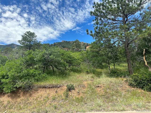 110 Crystal Park Rd, Manitou Springs, CO 80820