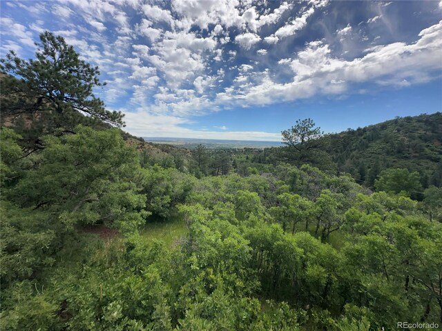110 Crystal Park Rd, Manitou Springs, CO 80820