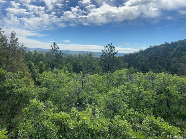 110 Crystal Park Rd, Manitou Springs, CO 80820