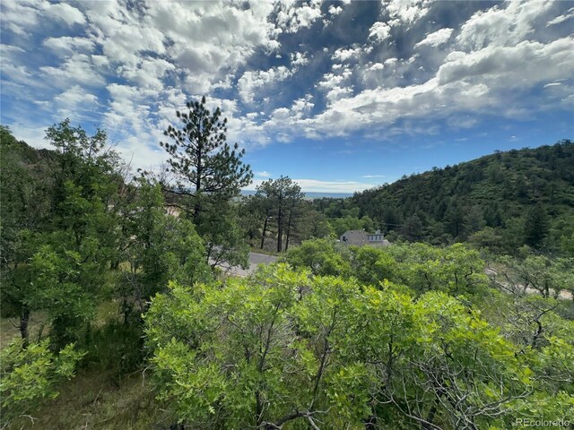110 Crystal Park Rd, Manitou Springs, CO 80820