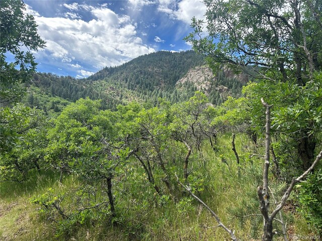110 Crystal Park Rd, Manitou Springs, CO 80820