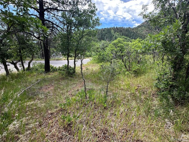 110 Crystal Park Rd, Manitou Springs, CO 80820