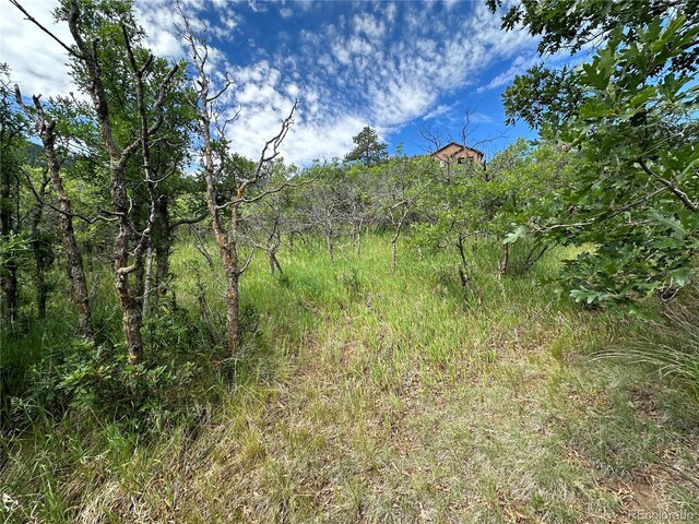 110 Crystal Park Rd, Manitou Springs, CO 80820