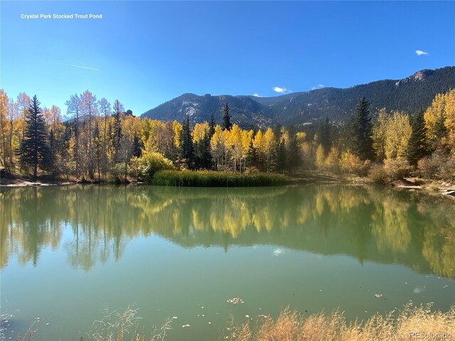 110 Crystal Park Rd, Manitou Springs, CO 80820
