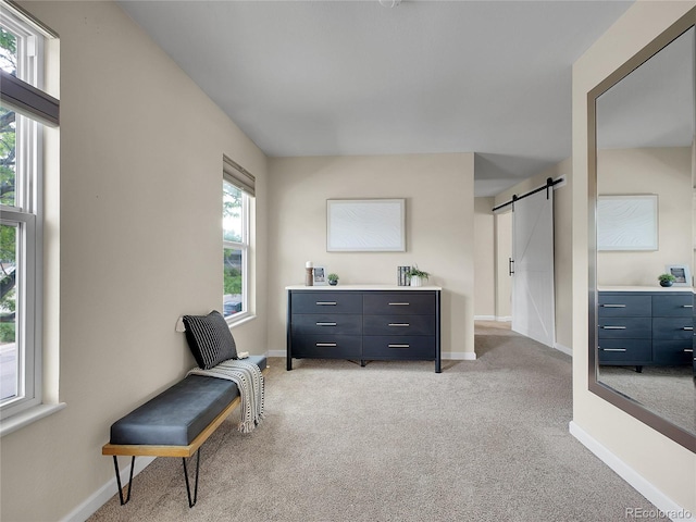 312 Allen St, Golden, CO 80401 - living area featuring a barn door and light carpet