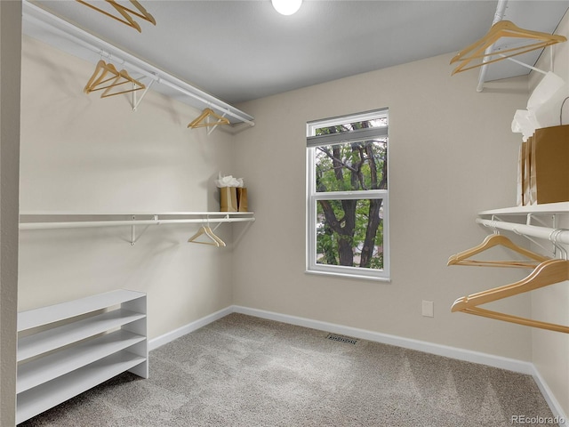 312 Allen St, Golden, CO 80401 - spacious closet featuring carpet flooring