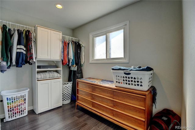 spacious closet featuring dark wood finished floors