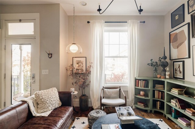 living area featuring wood-type flooring and plenty of natural light