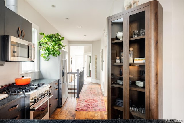 kitchen featuring light wood-type flooring and appliances with stainless steel finishes