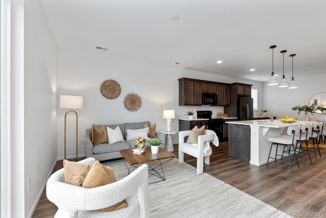 living room featuring hardwood / wood-style floors and sink