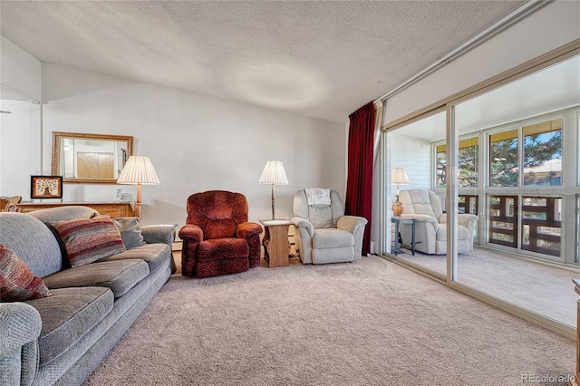 living room with a textured ceiling and carpet floors