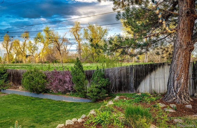 view of yard with a fenced backyard