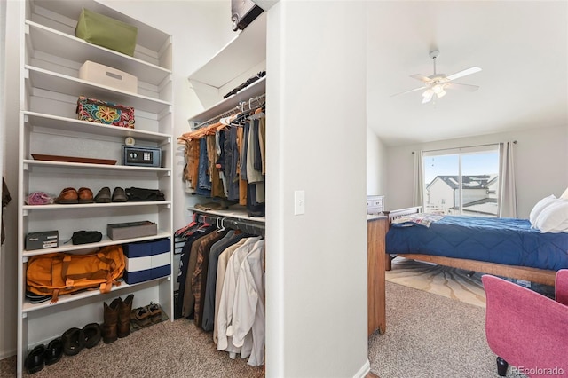 walk in closet featuring lofted ceiling, a ceiling fan, and carpet flooring