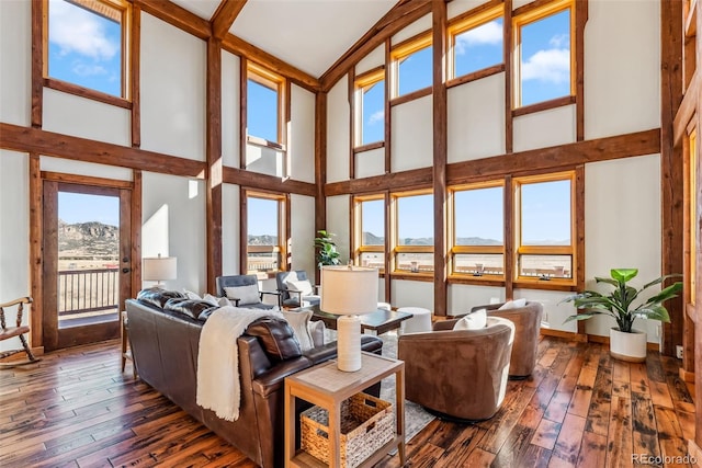 living room featuring baseboards, a mountain view, high vaulted ceiling, and wood-type flooring