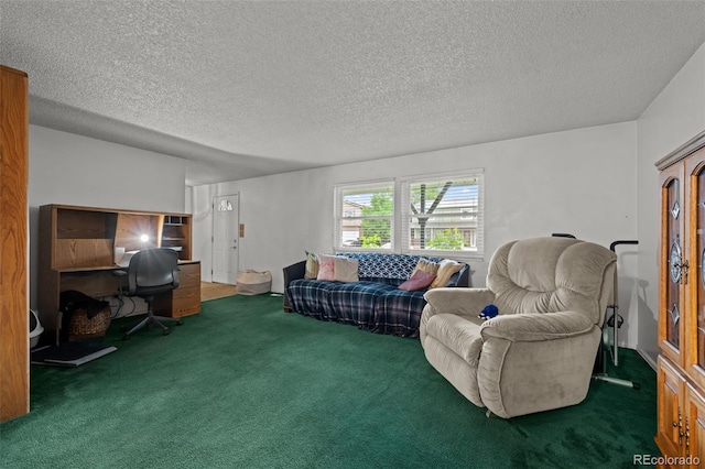 4550 E 121st Pl, Thornton, CO 80241 - living area featuring carpet and a textured ceiling