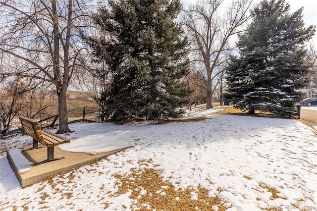 view of yard covered in snow