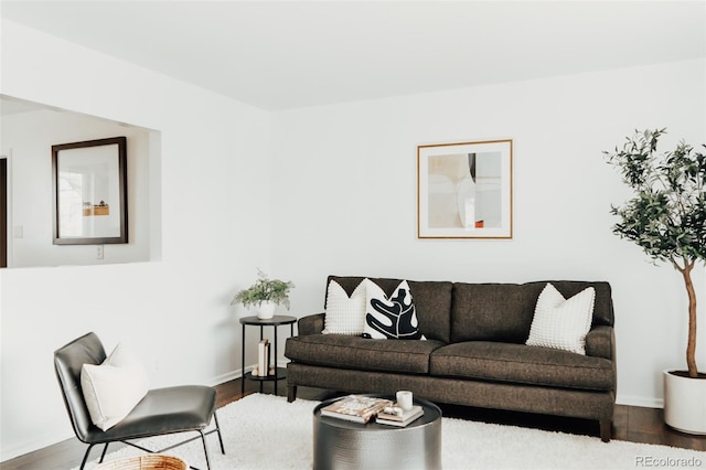 living room featuring hardwood / wood-style floors