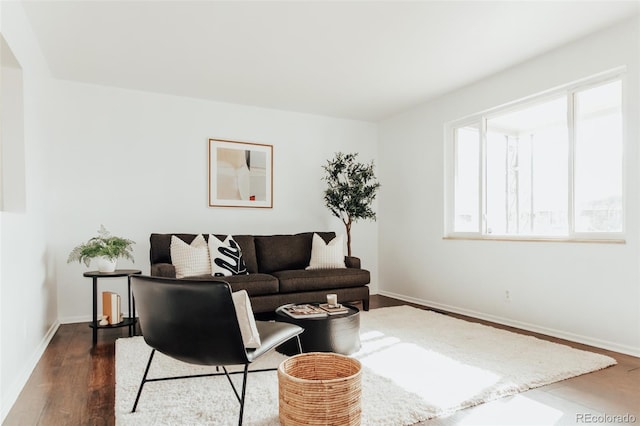 living room featuring dark wood-type flooring