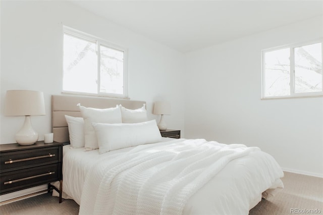 bedroom featuring carpet flooring