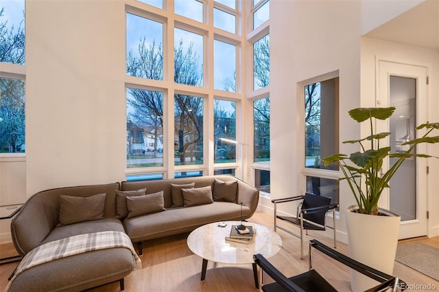 8071 E 29th Ave, Denver, CO 80238 - living room featuring wood finished floors and a high ceiling