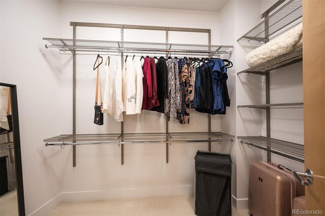 8071 E 29th Ave, Denver, CO 80238 - spacious closet with carpet floors